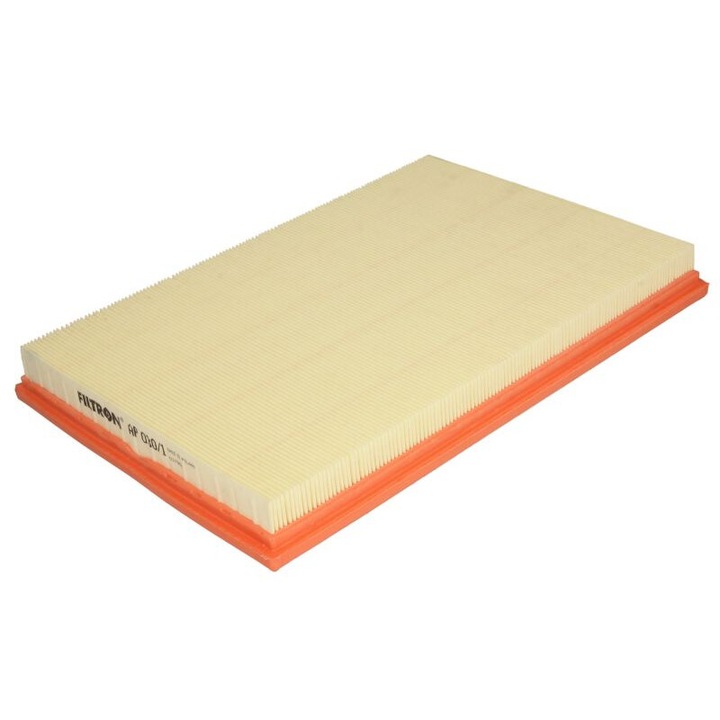 Légszűrő FILTRON Bmw X5 E70 AP 030/1