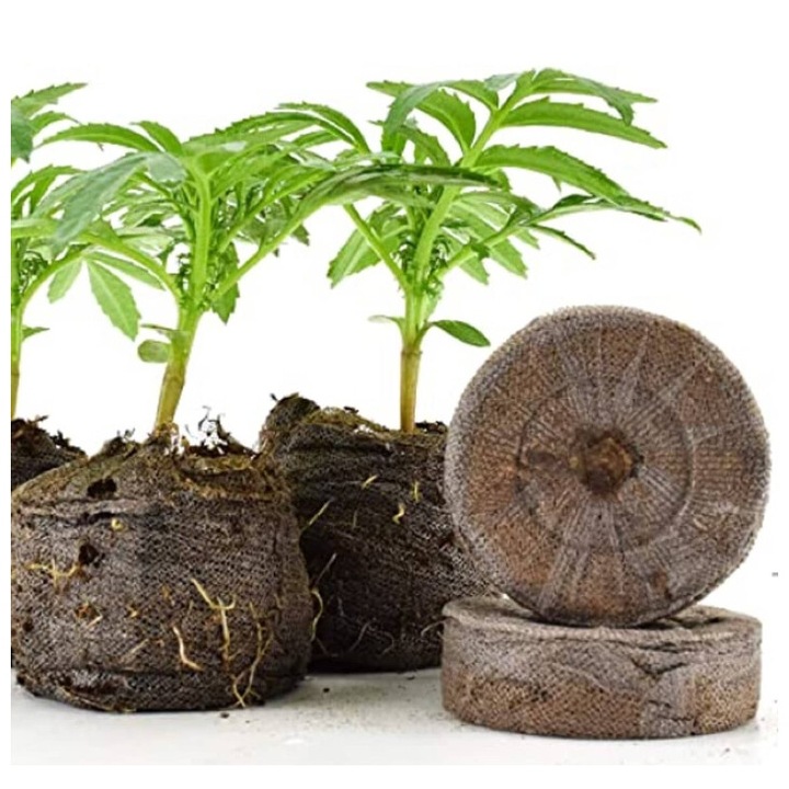 Set 2 discuri turba, diametru 36 mm, 100% biodegradabile, ideale pentru rasaduri, Toraf