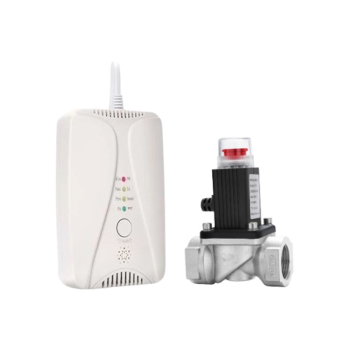 Detector de gaz si monoxid de carbon FRAMMINO® plus electrovalva 3/4 inch DN20