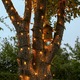 Instalatie de Craciun liniara, 17 m, din care 1 m cablu priza 220V, 200 LED, 8 jocuri de lumini, controler, fir negru, alb cald