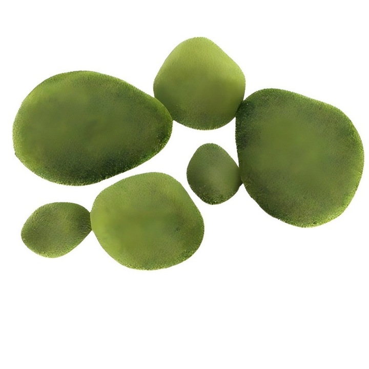 Set 6 pietre cu muschi, spuma/plastic, 11x7x3.5cm, verde