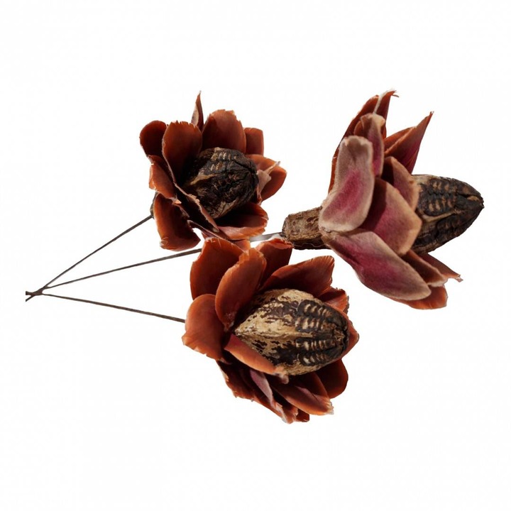 Flori naturale stabilizate, set 3 bucati, rosu, 57 cm