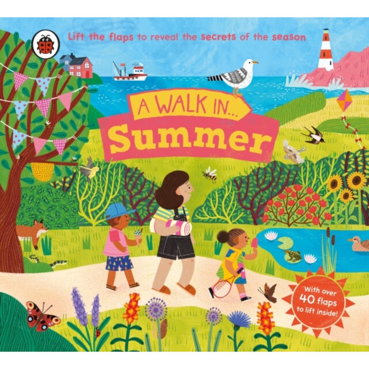 A Walk In Summer: Lift The Flaps To Reveal The Secrets Of The Season - Ladybird