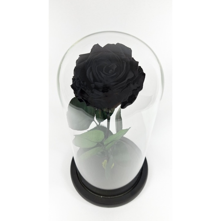 Trandafir criogenat Premium negru in cupola de sticla, 25cm