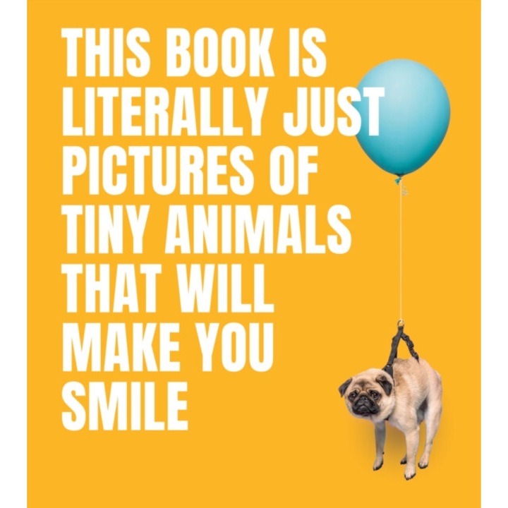 This Book Is Literally Just Pictures Of Tiny Animals That Will Make You Smile - Smith Street Books