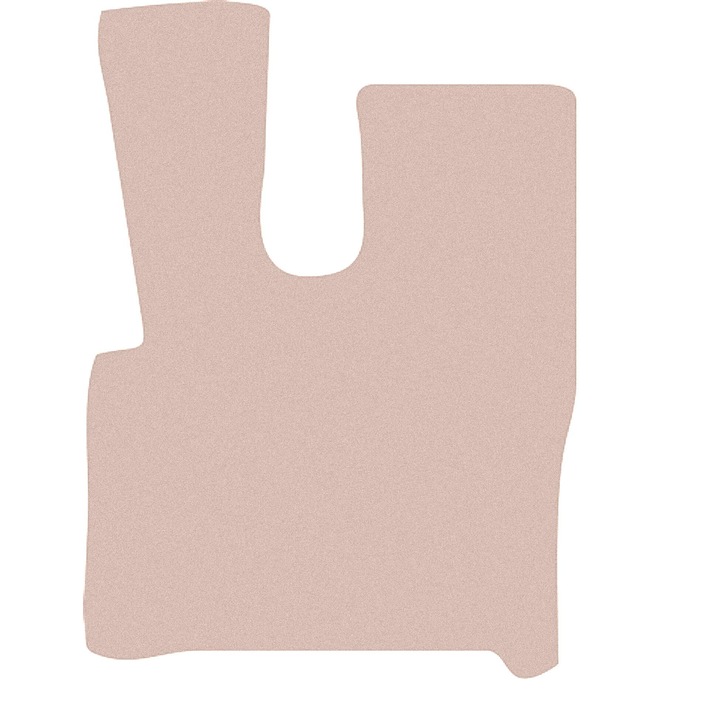 Covoras pentru sofer: Daf XF 106 (2017) - Automat bej, asortat cu masina