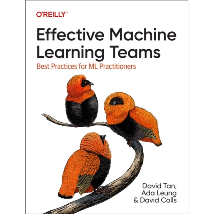 Effective Machine Learning Teams: Best Practices For Ml Practitioners - David Tan
