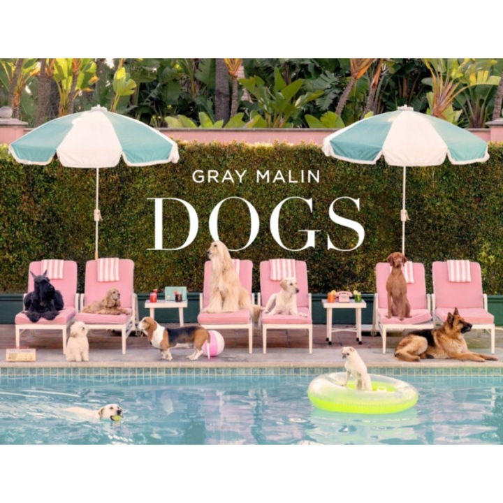 Gray Malin: Dogs - Gray Malin