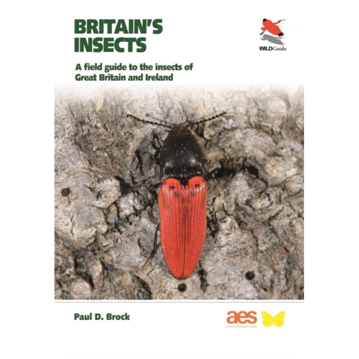 Britain's Insects: A Field Guide To The Insects Of Great Britain And Ireland - Paul D. Brock