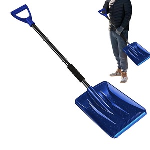 Articole deszapezire