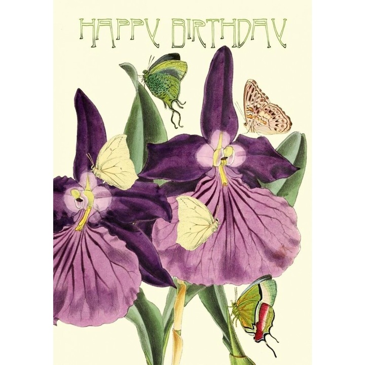 Karnet B6 brokat Urodziny Orchidea, Madame Treacle, 177x130x2 mm