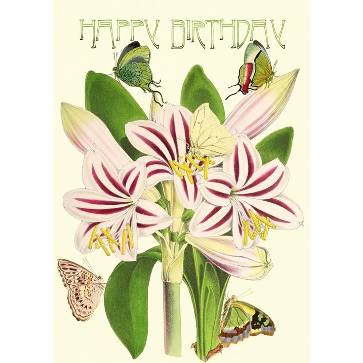 Karnet B6 brokat cu coperta Urodziny Amarylis, Madame Treacle, 177x130x2 mm