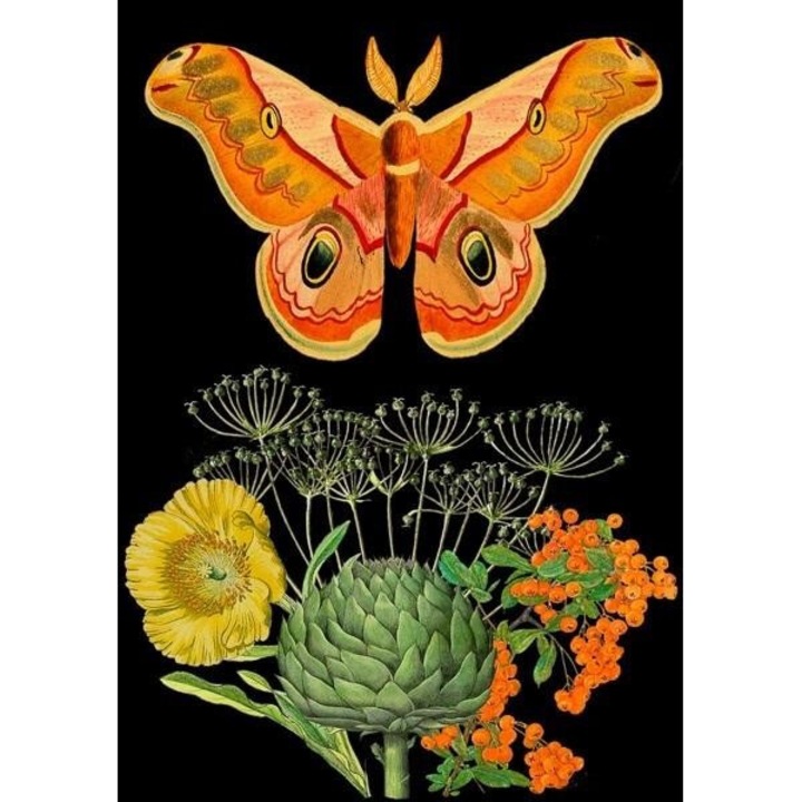 Karnet B6 cu coperta portocalie, Madame Treacle, 176x128mm