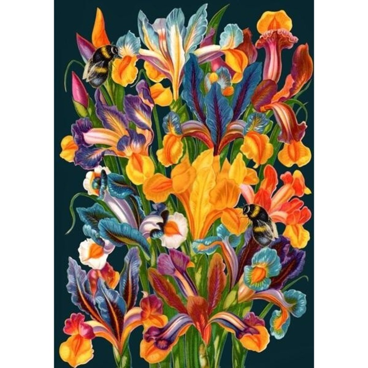 Karnet B6 cu coperta Irysy noca, Madame Treacle, 128x176mm