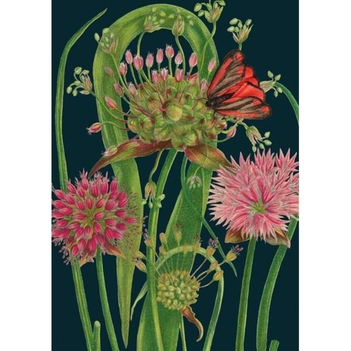 Karnet B6 cu coperta Czosnek noca, Madame Treacle, 128x177mm