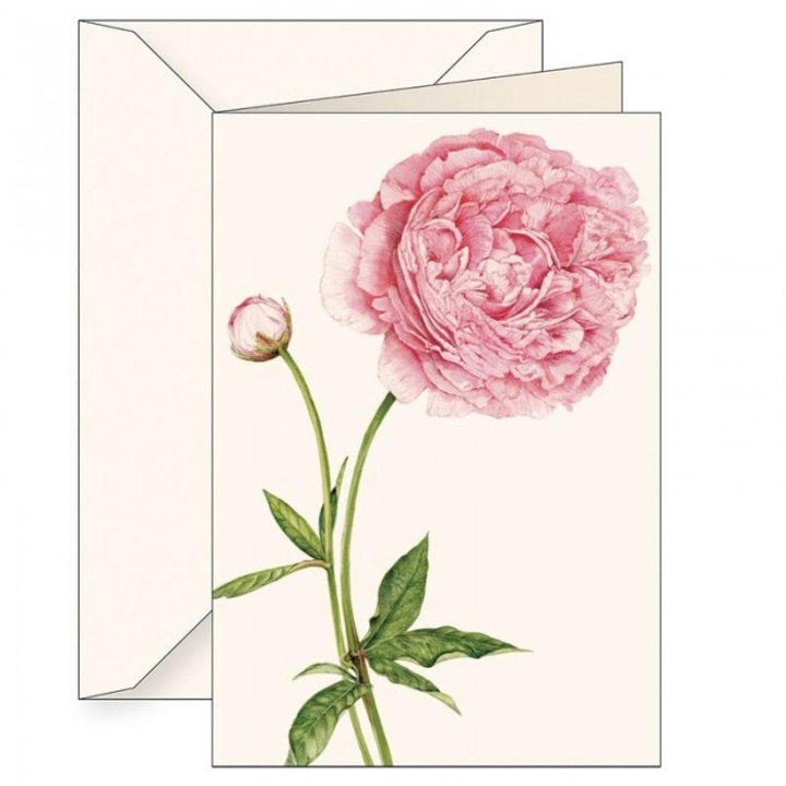 Karnet B6 cu coperta 6136 Piwonia chineza, Tassotti, 127x186mm
