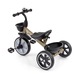 Tricicleta clasica Milly Mally Bobby cu sonerie si cosuri de accesorii, Golden