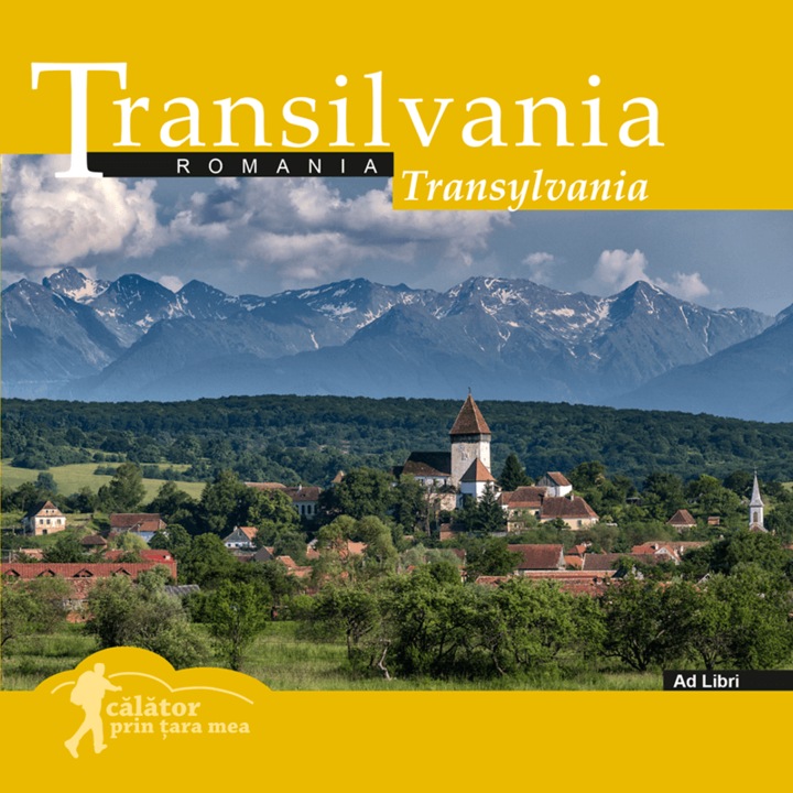 Transilvania - Florin Andreescu