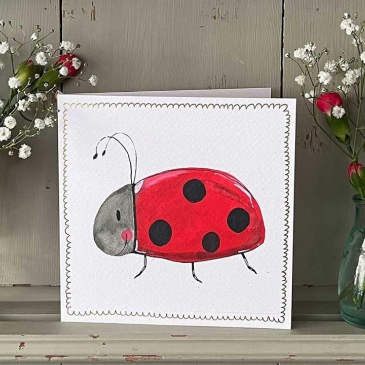 Karnet S518 Biedronka, Alex Clark, 168x170mm, set cu plic alb