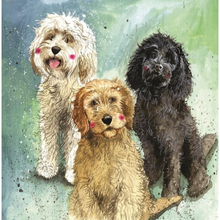 Karnet AC745 Psy Cockapoo, Alex Clark, 149x156mm, set cu plic kraft