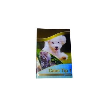 Caiet Tip 1 Silence Gold Caiet Tip 1 Silence Gold