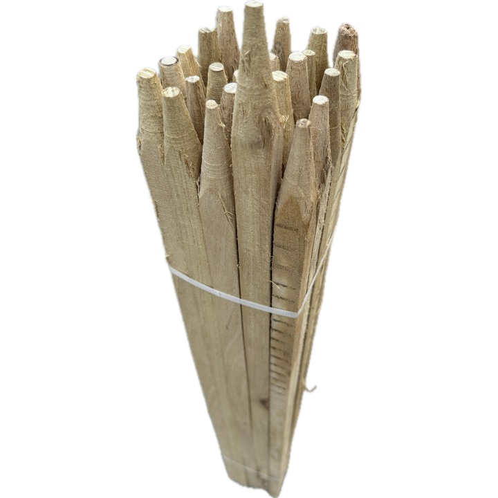 Set 25 buc/pachet, suporturi pentru copaci, salcam 150cm