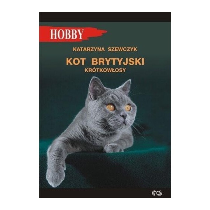 Kot brytyjski krótkowłosy w.4