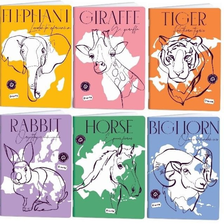 Caiete A4, set 10 buc, GDD, 60 file, 230g/m2, multicolor