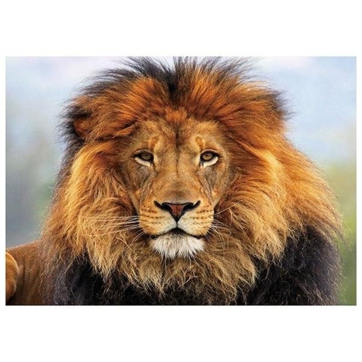 Mozaic diamant 5D, leu, multicolor, 40 x 30 cm