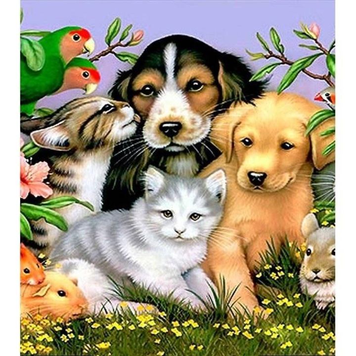 Mozaic diamant 5D - Animale 40x30cm