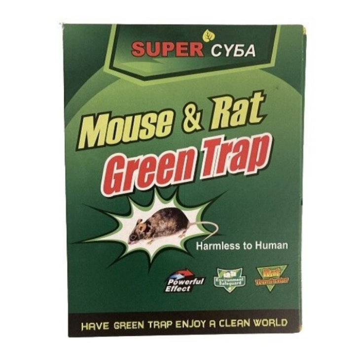 Green Trap Mouse & Rat – Solutie eficienta pentru eliminarea soarecilor si sobolanilor, sigura pentru oameni