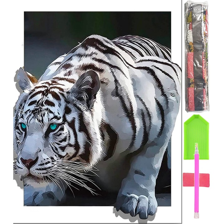 5D Nagy gyémántszemes kirakó készlet mozaik kép D14