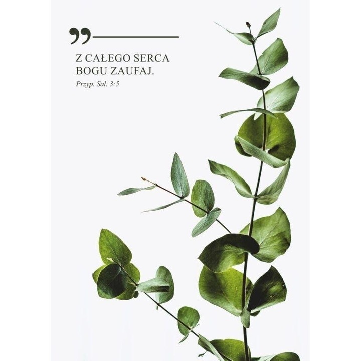 Karnet Z calego serca Bogu zaufaj, Koinonia, 163x119mm, cu folie, set cu plic