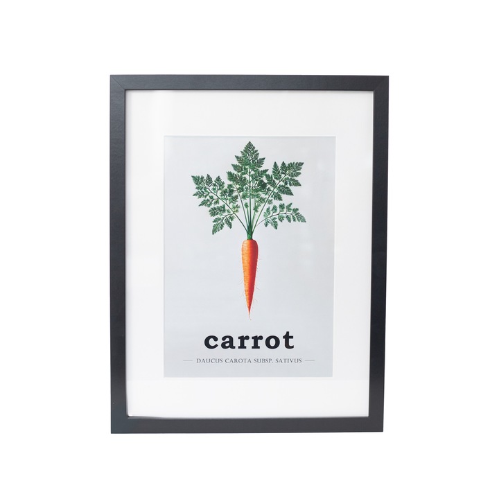 Tablou Rama neagra 30x40 legume morcov de pus pe perete in bucatarie