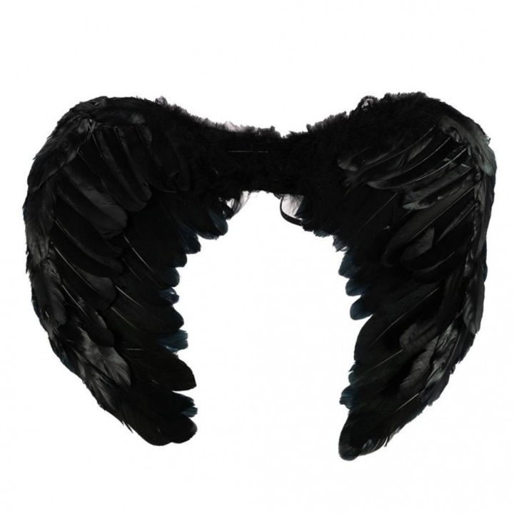 Черни крила