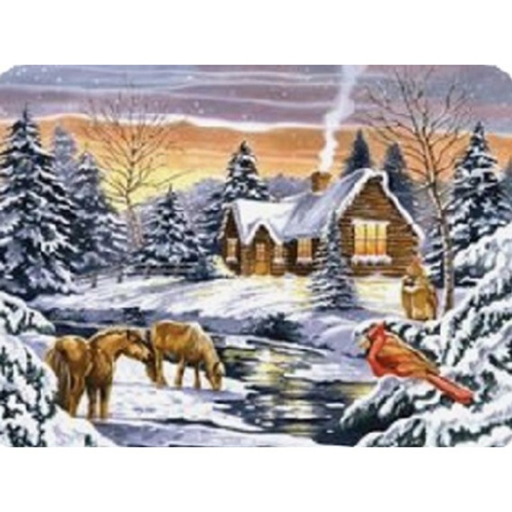 Set pictura cu diamante Norimpex, 7 ani+