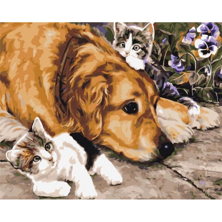 Set pictura pe numere, Titanum, caine/pisica, 30x40cm, multicolor