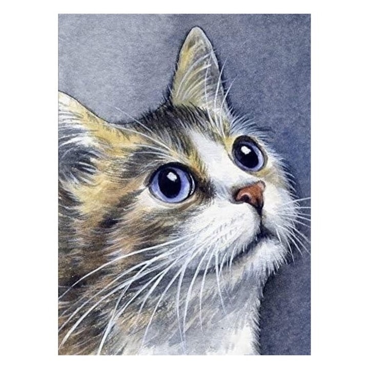Set pictura dupa numere, Titanum, Pisica, 30x40cm, multicolor