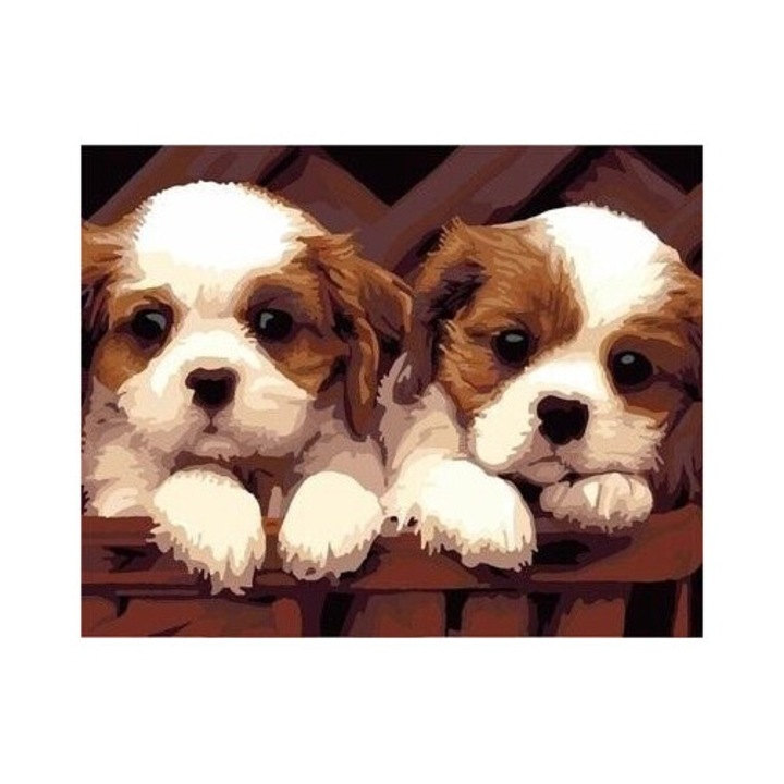 Set pictura dupa numere, Titanum, Doi caini, 30x40cm, multicolor