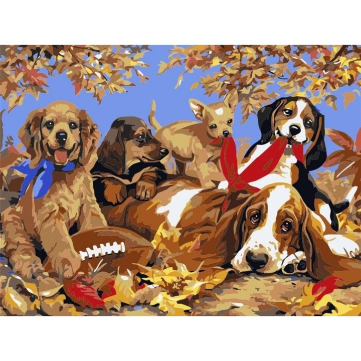 Set pictura pe numere, Titanum, 30x40cm, motive cu caini, ambalaj folie