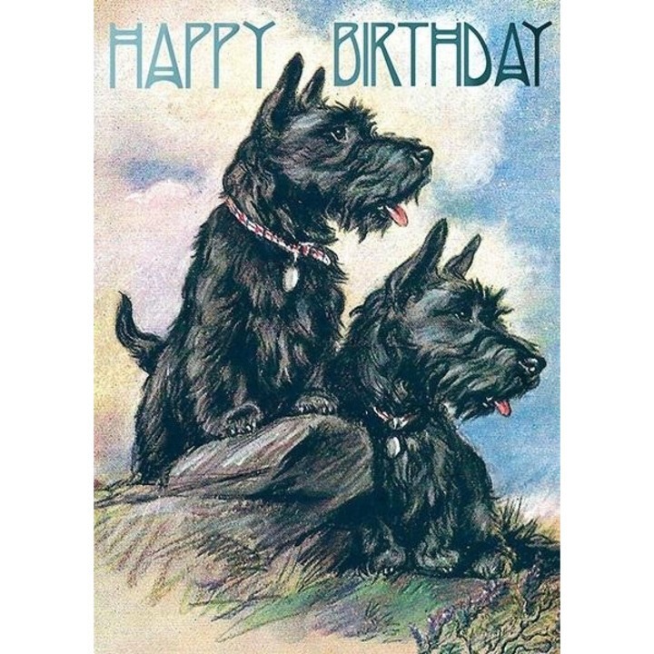 Felicitare B6 cu plic Urodziny Terier Szkocki, Madame Treacle, 175x130mm, folie