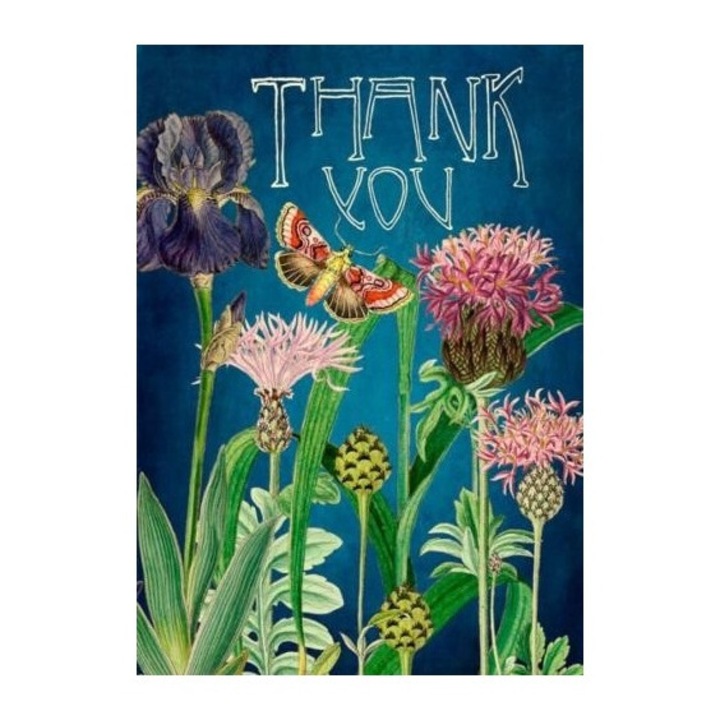 Karnet B6 cu coperta, Madame Treacle, 175x130mm, fara text