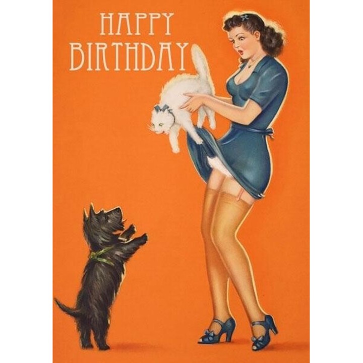 Karnet B6 cu coperta Urodziny, Madame Treacle, 175x130mm, fara text, pisica si caine