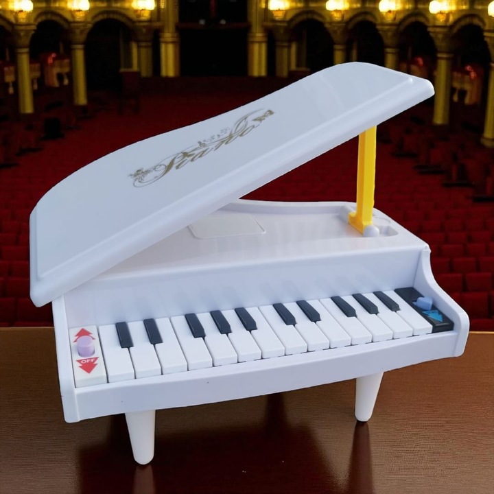 Pian de jucarie, DreamPiano, cu picioare reglabile, + 3 ani, Vision XXI