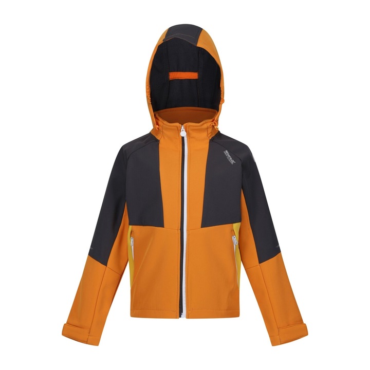 Regatta Haydenbury Kids Soft Shell dzseki, narancspaprika/bors/pecsétszürke, Narancssárga, 170 CM
