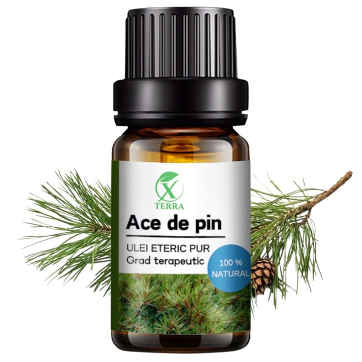 Ulei esential de Ace de Pin, Pinus sylvestris, 100% natural si pur, 10 ml, XTERRA