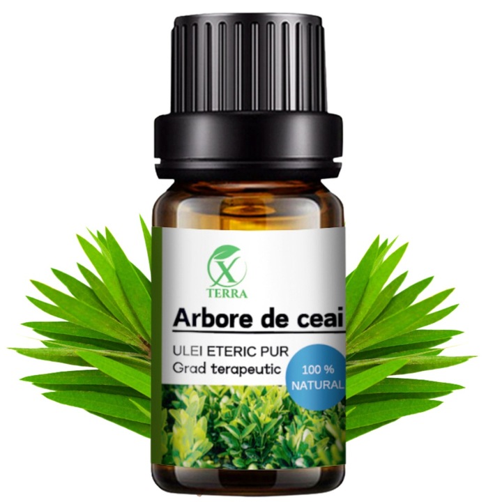 Ulei esential de Arbore de Ceai, Melaleuca alternifolia, 100% natural si pur, 10 ml, XTERRA