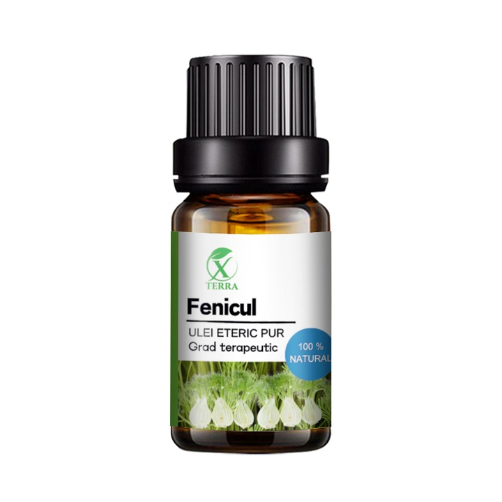 Ulei esential de Fenicul, Foeniculum vulgare, 100% natural si pur, 10 ml, XTERRA