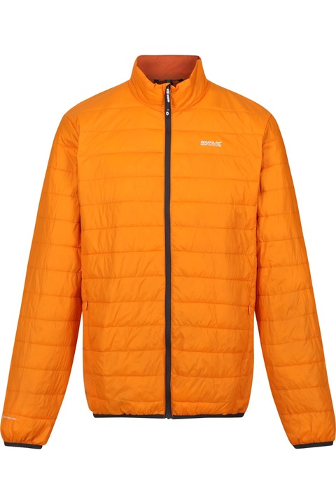 Férfi Regatta Hillpack párnázott dzseki, narancshéj/égetett réz, Téglavörös