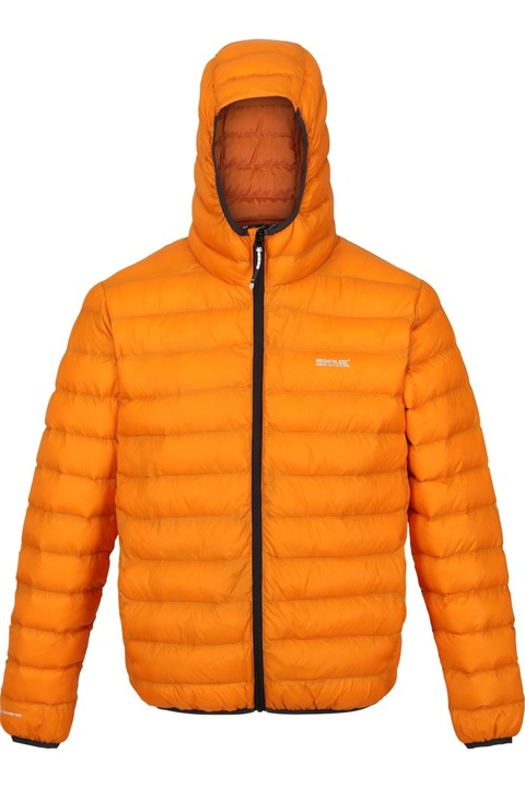 Férfi Regatta Marizion párnázott kabát, narancspaprika/égetett réz 2XL INTL